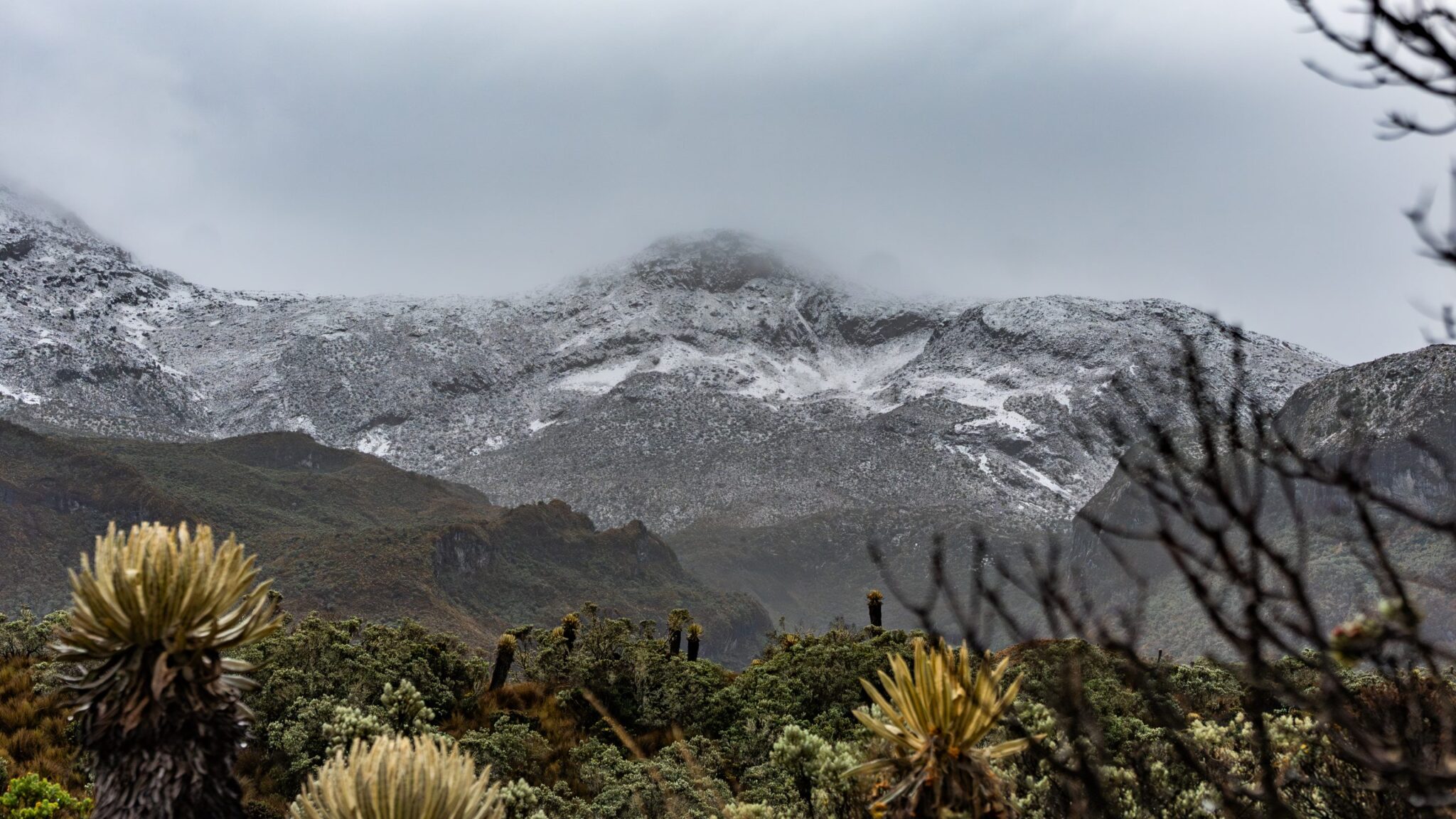 nevados-generale-sPNN-Los-Nevados-Danilo-Arenas-scaled