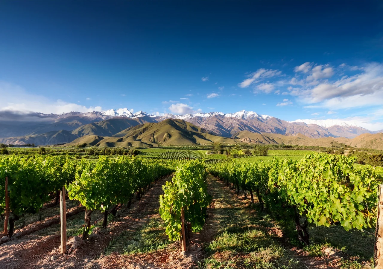 ranking-global-de-turismo-argentina-escala-posiciones-y-ya-supera-a-sus-principales-competidores-en-sudamerica-1778512915875_1280