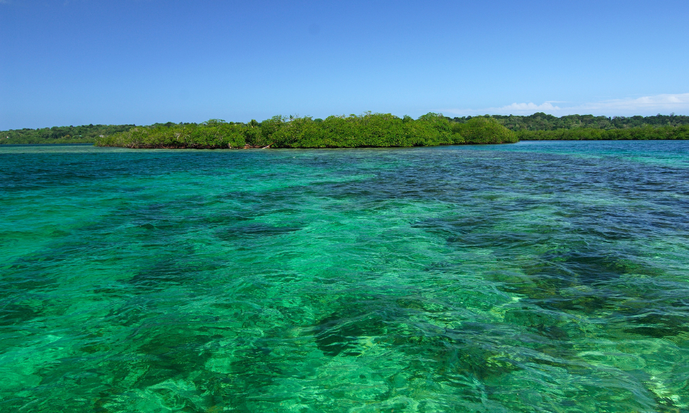 image Panamá Cayo Agua — Bocas del Toro