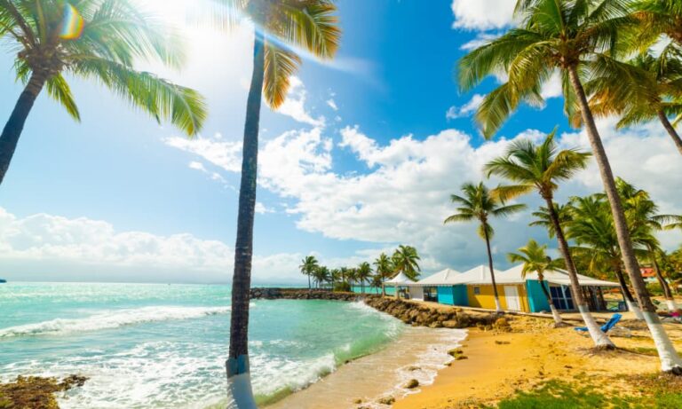 ISLA Guadalupe CARIBE