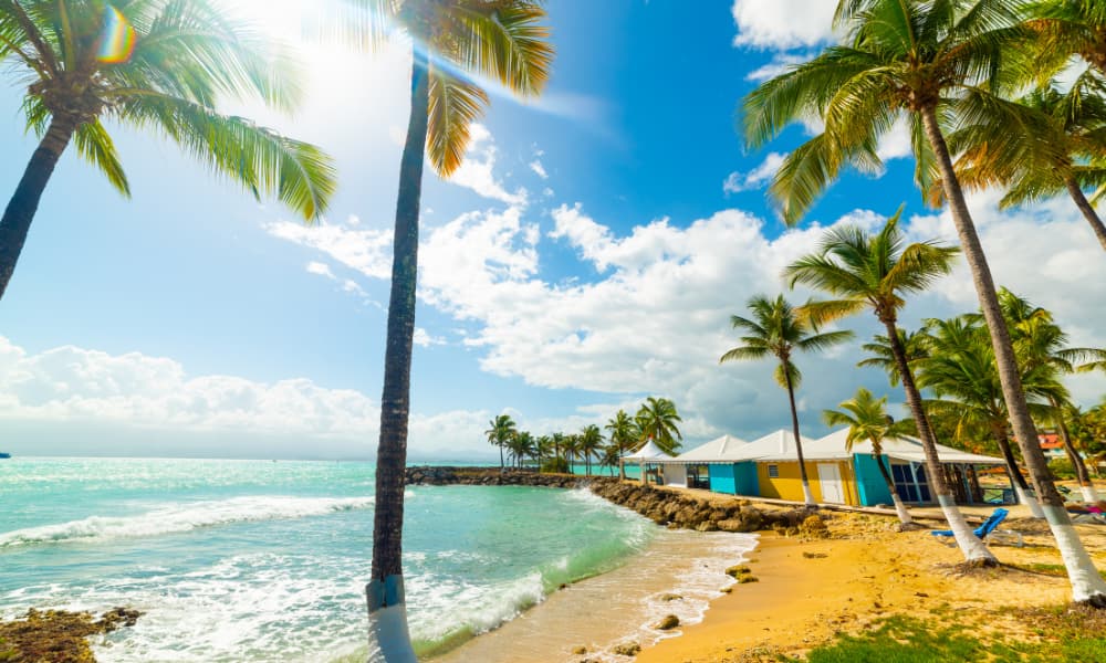 ISLA Guadalupe CARIBE