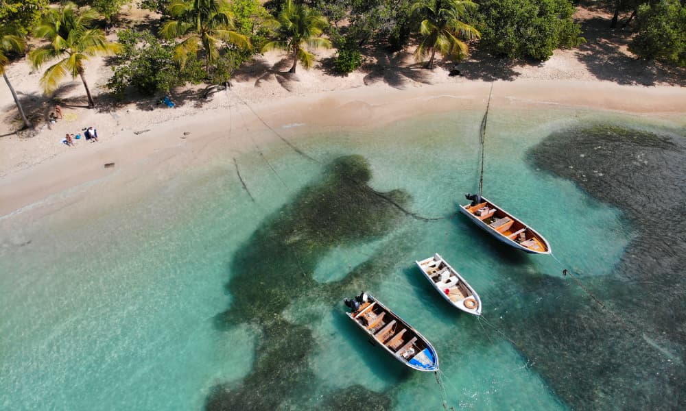 ISLA Guadalupe CARIBE