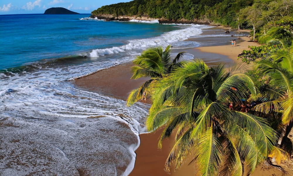 ISLA Guadalupe CARIBE