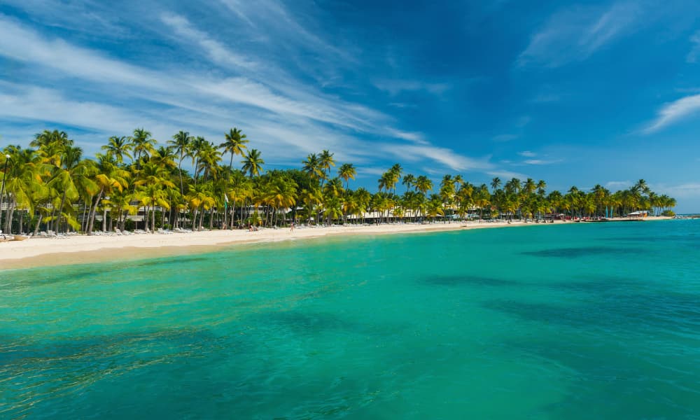 ISLA Guadalupe CARIBE
