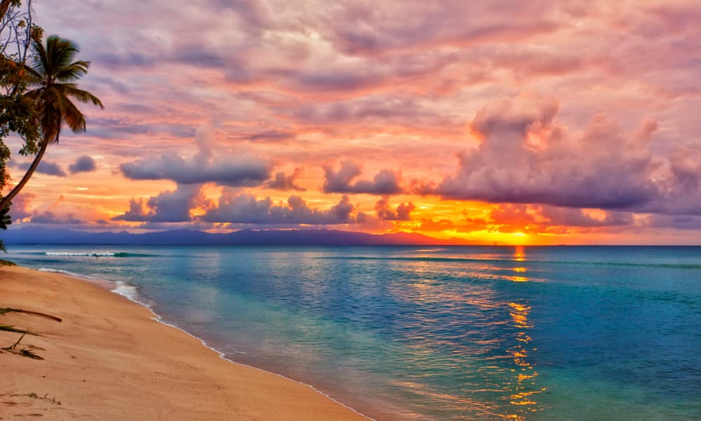 ISLA Guadalupe CARIBE
