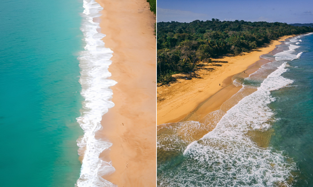 Panamá Las 15 playas paradisíacas y poco conocidas de Panamá que todavía conservan espíritu de aventura image Panamá Playa Bluff — Bocas del Toro