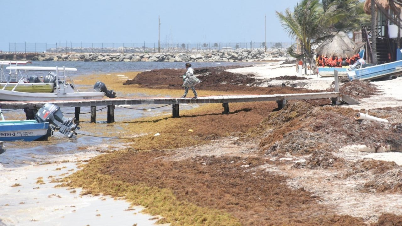 TN3SCST6U5BSTGPQQHQOPPU7KE