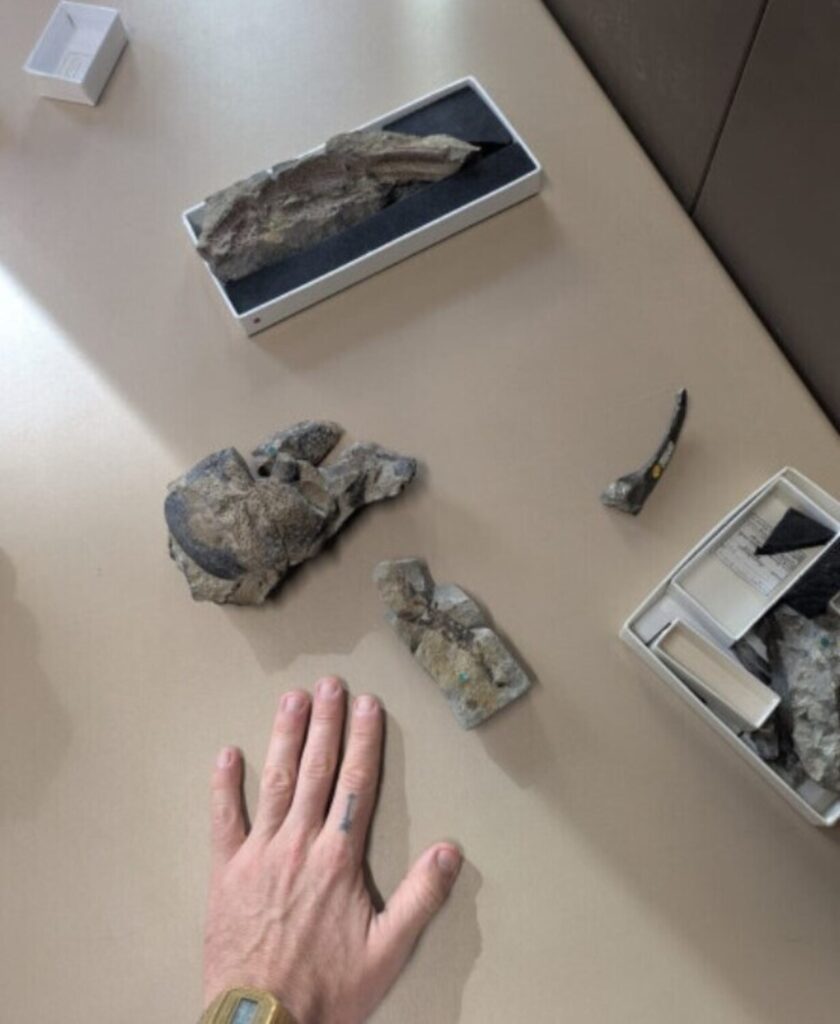 Hallan al escorpión más grande de la historia: medía casi un metro image Y0L x uZt 2000x1500 2 1