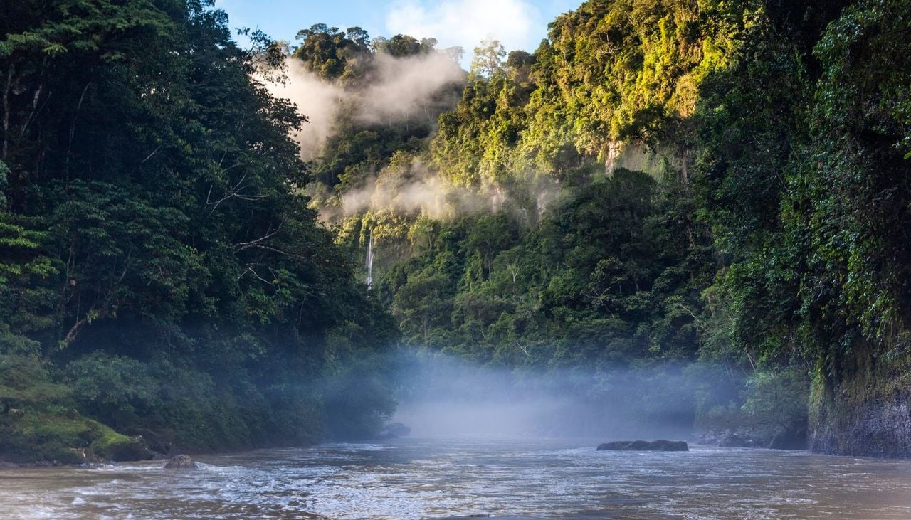 come-salvare-l-amazzonia-la-soluzione-del-brasile-e-semplice-ed-efficace-1781525982463_1280 come-salvare-l-amazzonia-la-soluzione-del-brasile-e-semplice-ed-efficace-1781525982463_1280