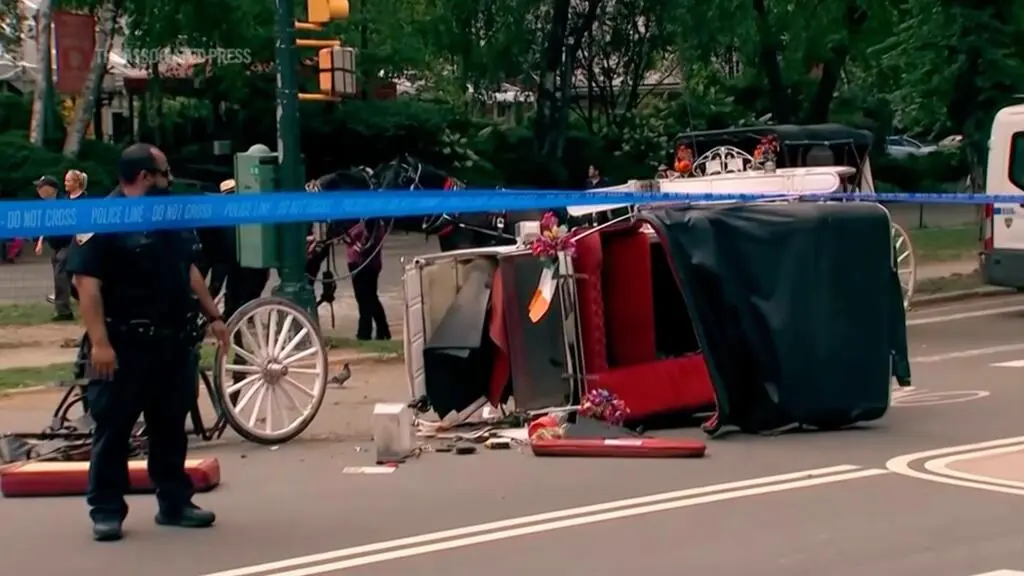 Un joven murió al intentar salvar a su madre en un paseo en carruaje en Nueva York image gritaba mama padre joven muerto central park relata tragedia