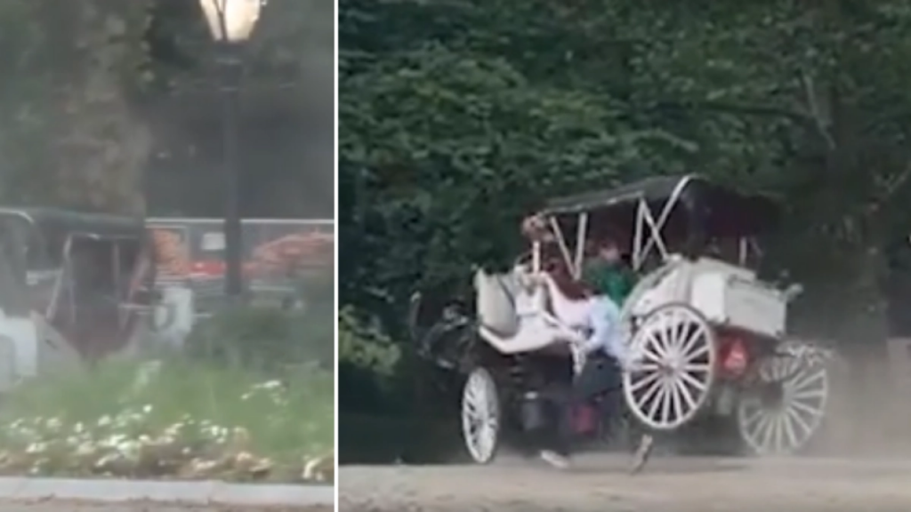 Un joven murió al intentar salvar a su madre en un paseo en carruaje en Nueva York image image 3