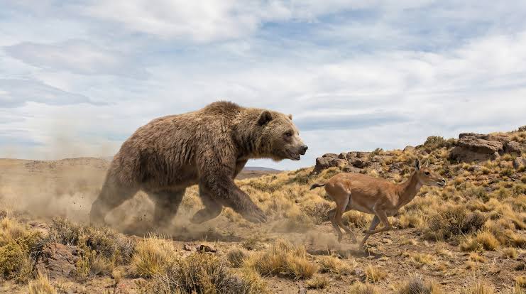 El oso más grande de la historia vivió en Argentina, según la ciencia image images 22