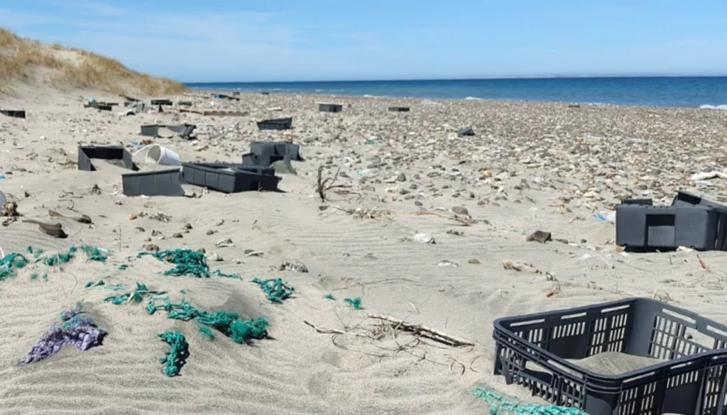 image mas de 10 toneladas de basura en playas de chubut el estudio que expone el verdadero origen del plastico marino 1782601159698 1280