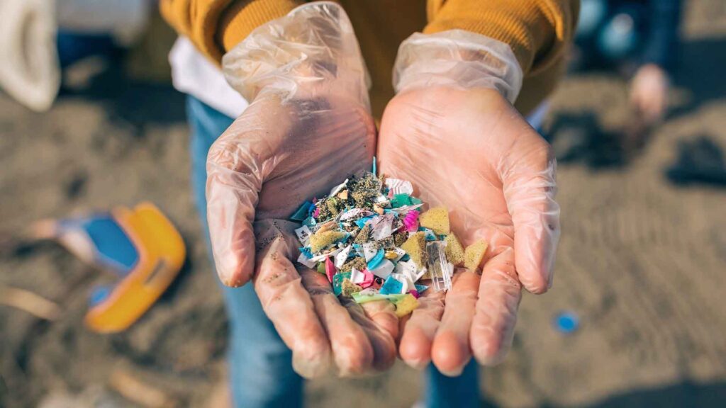 Alarma por microplásticos: aparecen en el 70% de las muestras analizadas image web microplasticos mayo26 42a97afd1f