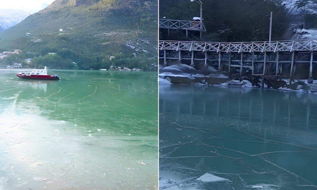 El mar se congeló en la Patagonia: la impactante postal que sorprendió a Caleta Tortel image 4 1