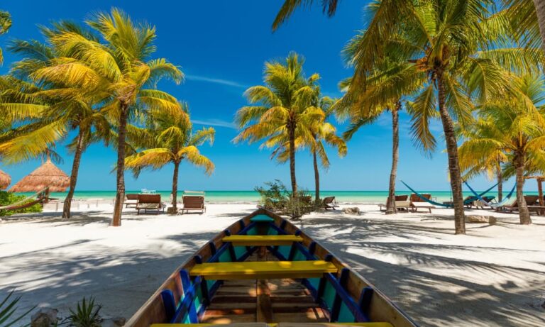 Holbox | Canva Pro