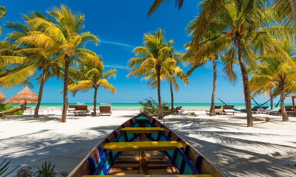 Holbox | Canva Pro