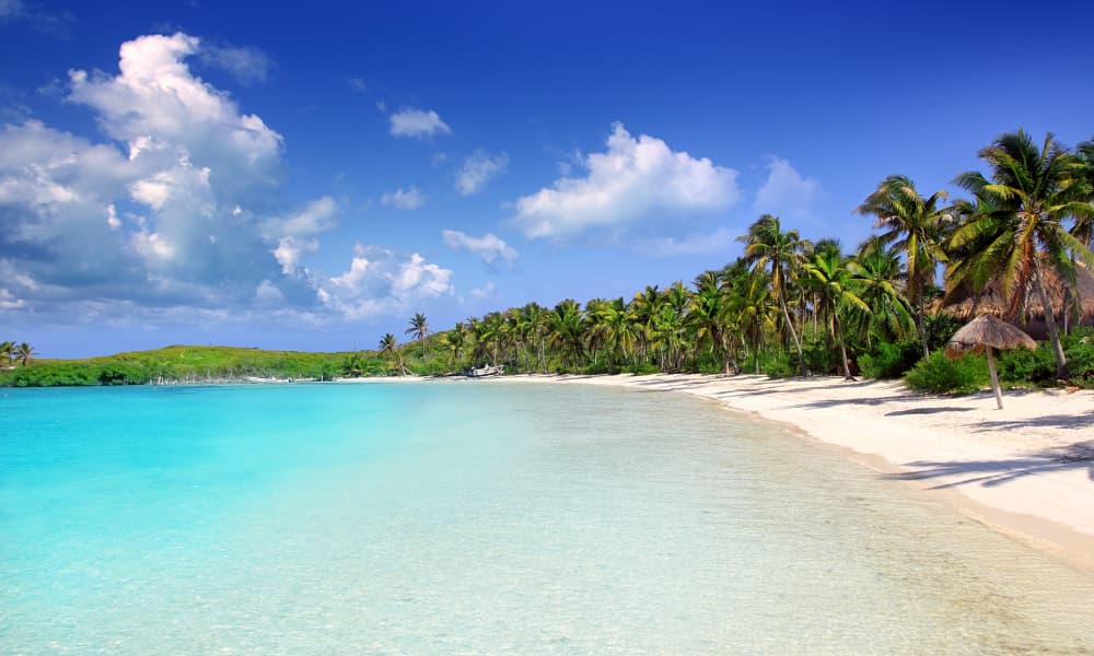 image Caribe mexicano Isla Contoy