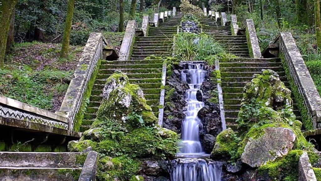 Portugal tiene el primer “bosque terapéutico” de la Península Ibérica image P3ZDDHXLZFD75MINDHJ6N5AFJ4