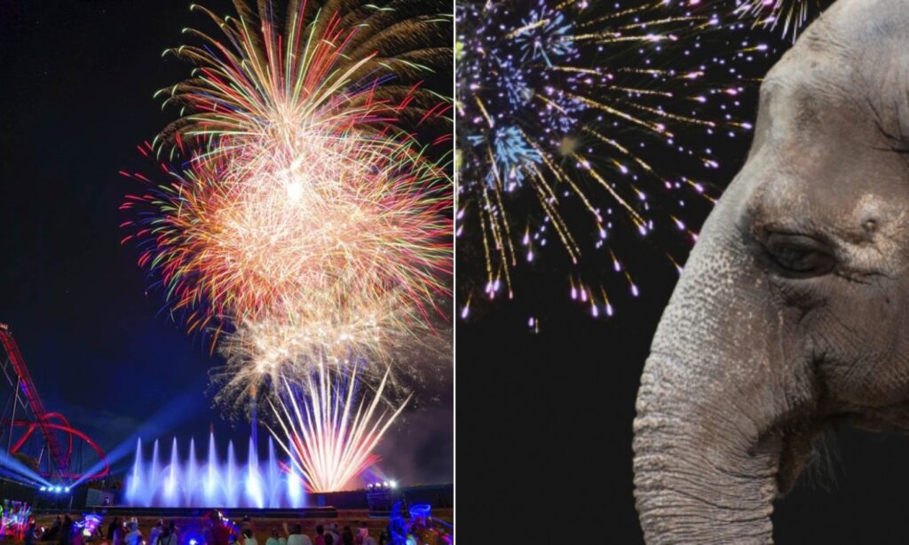 Exempleados denuncian problemas en el cuidado de animales de Busch Gardens y lanzan una petición: cómo firmar image Portadas Mexi
