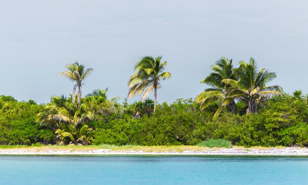 image Caribe mexicano Punta Allen 2
