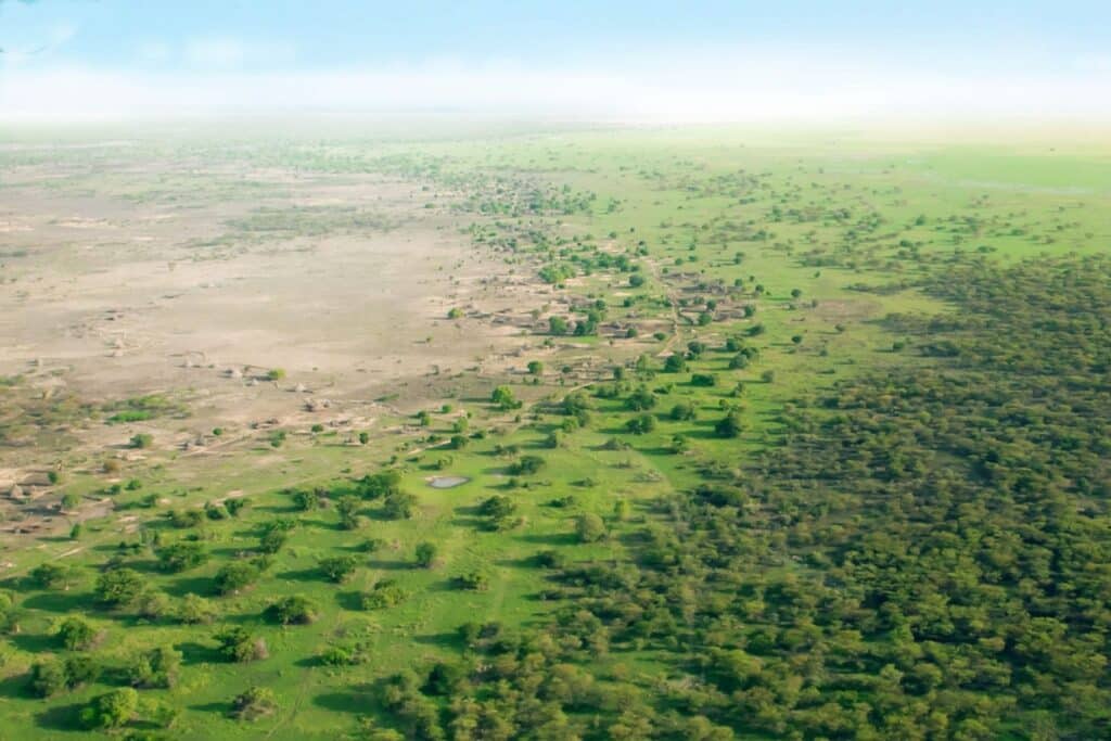 image great green wall