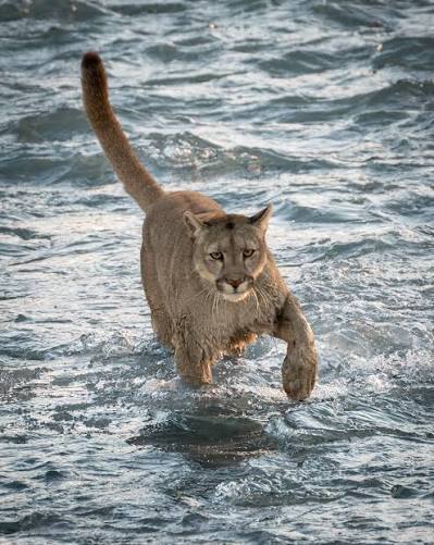 image images 57