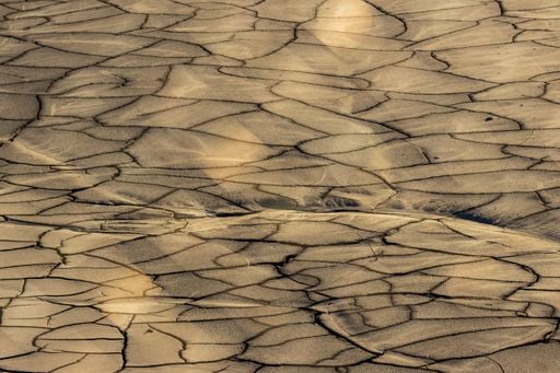 Países Bajos declara la escasez de agua por la histórica sequía que afecta al país image netherlands officially declares water shortage amid persistent drought 1784385991114 512