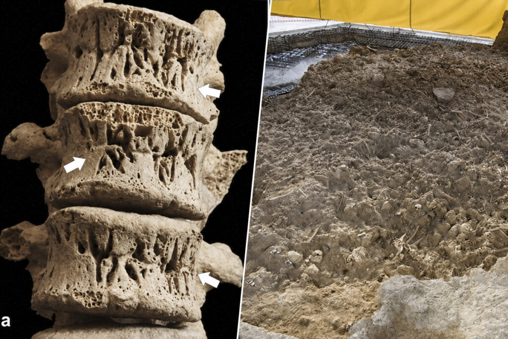 La mayor tumba de la Edad del Cobre de Europa revela las enfermedades que afectaban a los niños hace 5.000 años image 1200 800