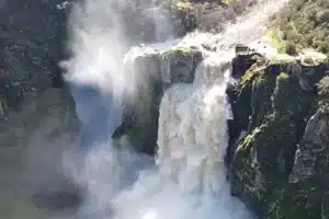 acciones para salvar el Amazonas 5 pequeñas acciones que puedes hacer desde tu casa para salvar el Amazonas image acciones para salvar el Amazonas 17859402263598