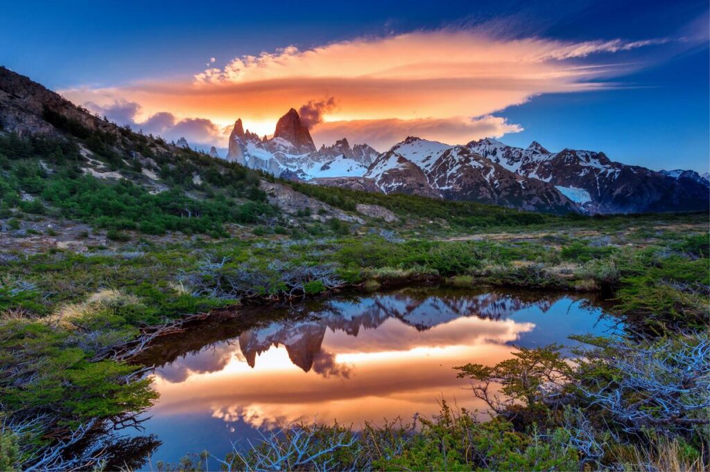Dos nuevas plantas fósiles revelan cómo era la Patagonia hace 20 millones de años image Argentin Patagonia
