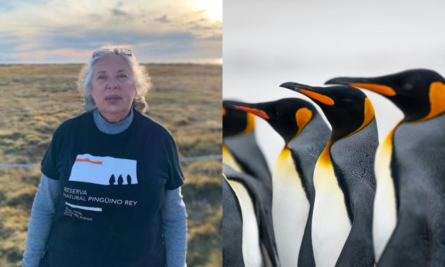 Cecilia Durán maestra chile pingüinos Cecilia Durán maestra chile pingüinos