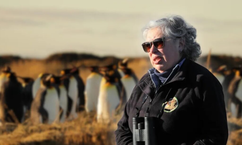 image Cecilia maestra chile pinguinos rey