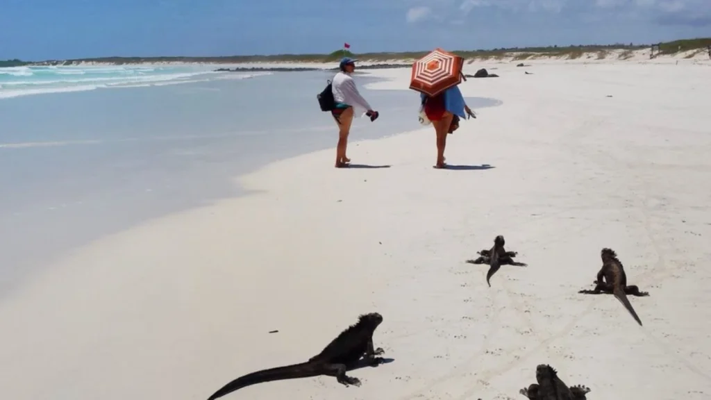 Las Galápagos reciben casi 300.000 turistas al año image Diseno sin titulo 43 4 1200x675 1