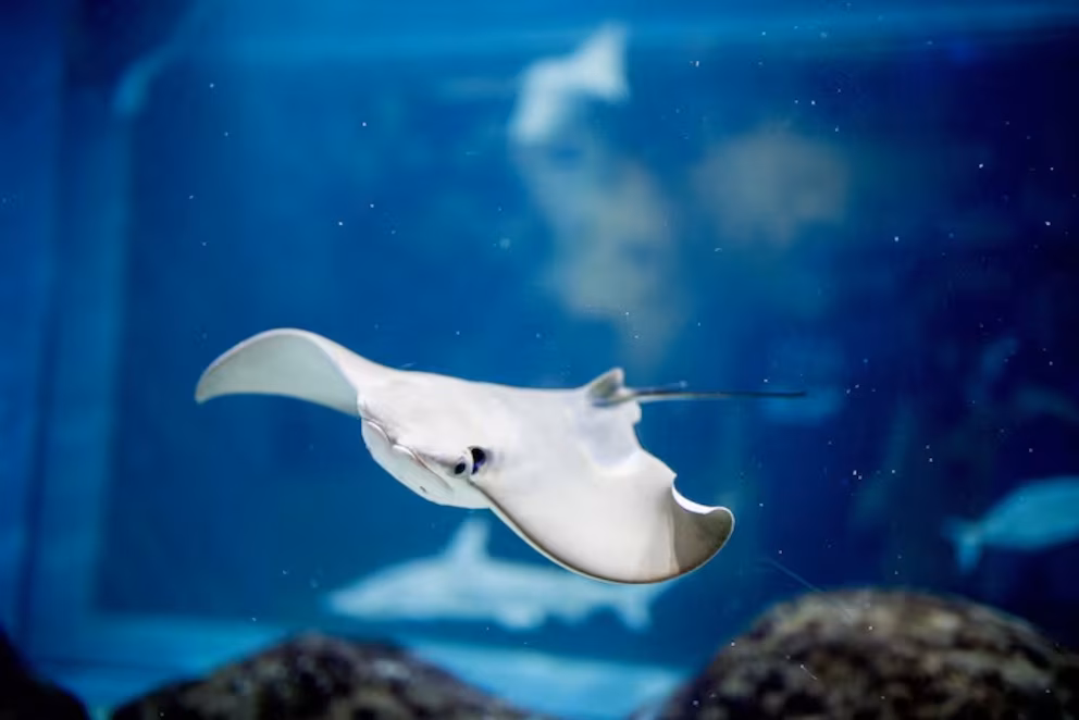 image HINWZENYHFGKJB2PV62WHBXJTY