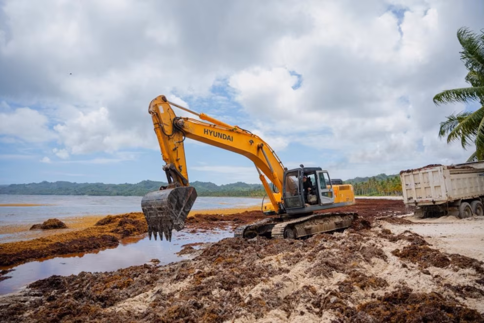 República Dominicana refuerza la limpieza de Playa Rincón tras una llegada masiva de sargazo image KQQVBNO64RF3BH773X4L6ZIZUA