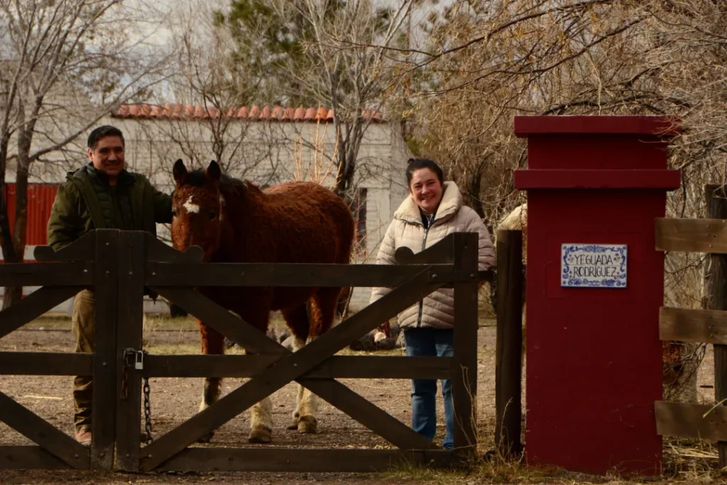 Los caballos con rulos que parecen salidos de un cuento: el viaje por la Patagonia para conocer una raza única image Linea sur 2