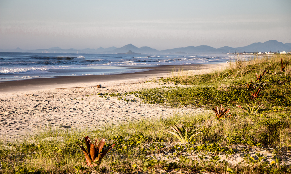 image São Paulo Praia de Guaratuba Sao Paulo 2