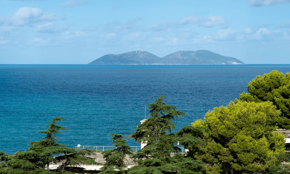 image Vlore 2
