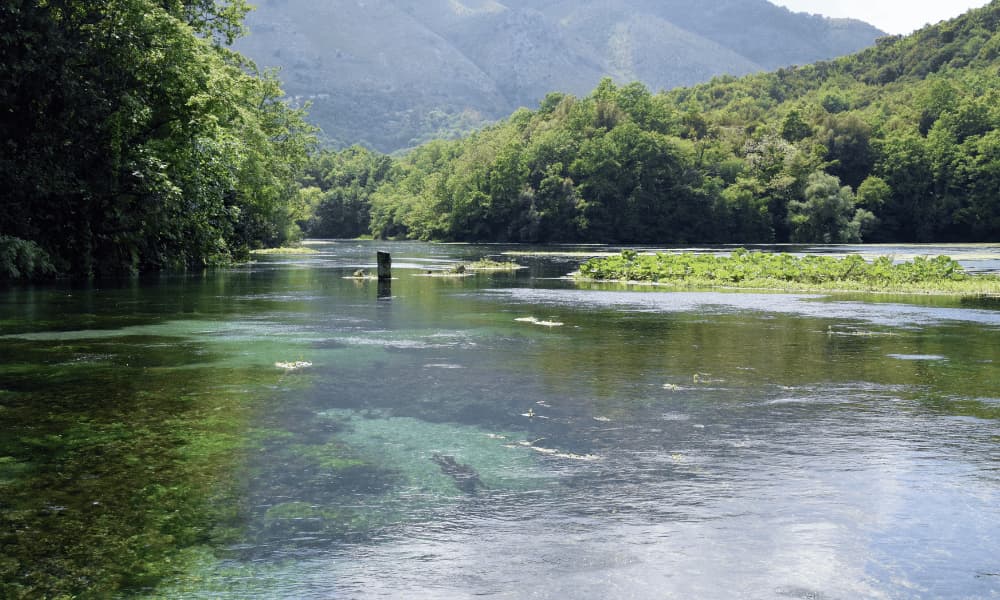 image Vlore