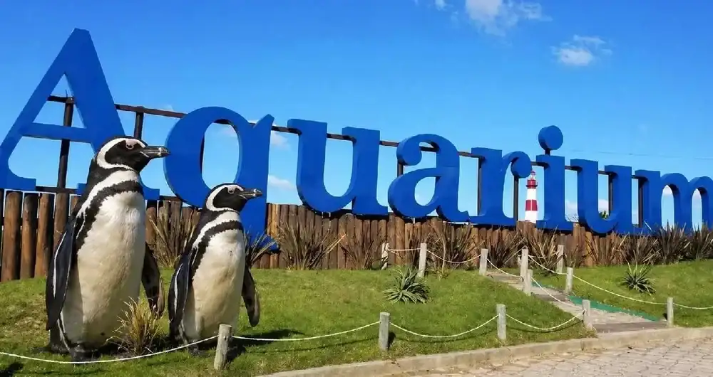 aquarium_mar_del_plata