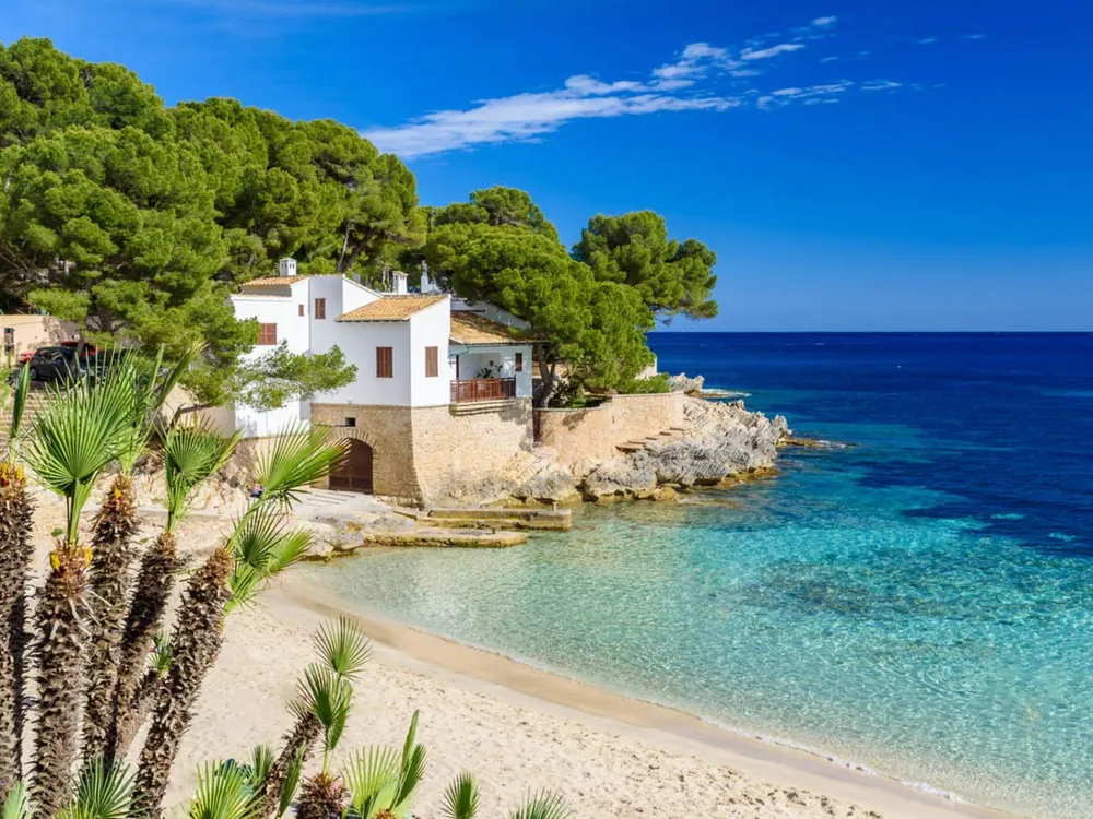 buscan-voluntarios-vivir-las-islas-baleares-ofrecen-alojamiento-gratis-cambio-cuidar-perros-1