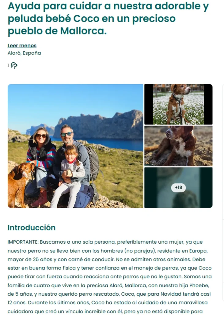 image buscan voluntarios vivir las islas baleares ofrecen alojamiento gratis cambio cuidar perros 3