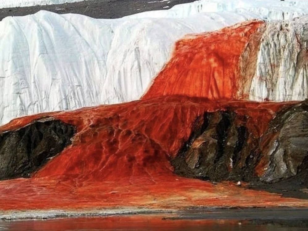 El misterio de las Cataratas de Sangre: hallan microorganismos ancestrales bajo un glaciar de la Antártida image f.elconfidencial.com original e82 6a8 22e e826a822ea9f93774a14bc52c5cf6d10