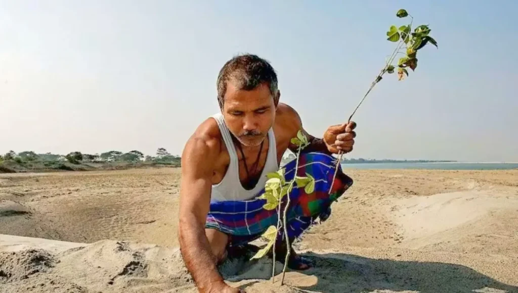 image hombre arbol 1