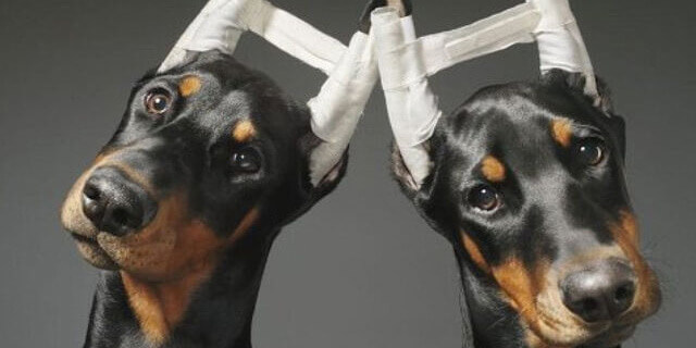 image-43