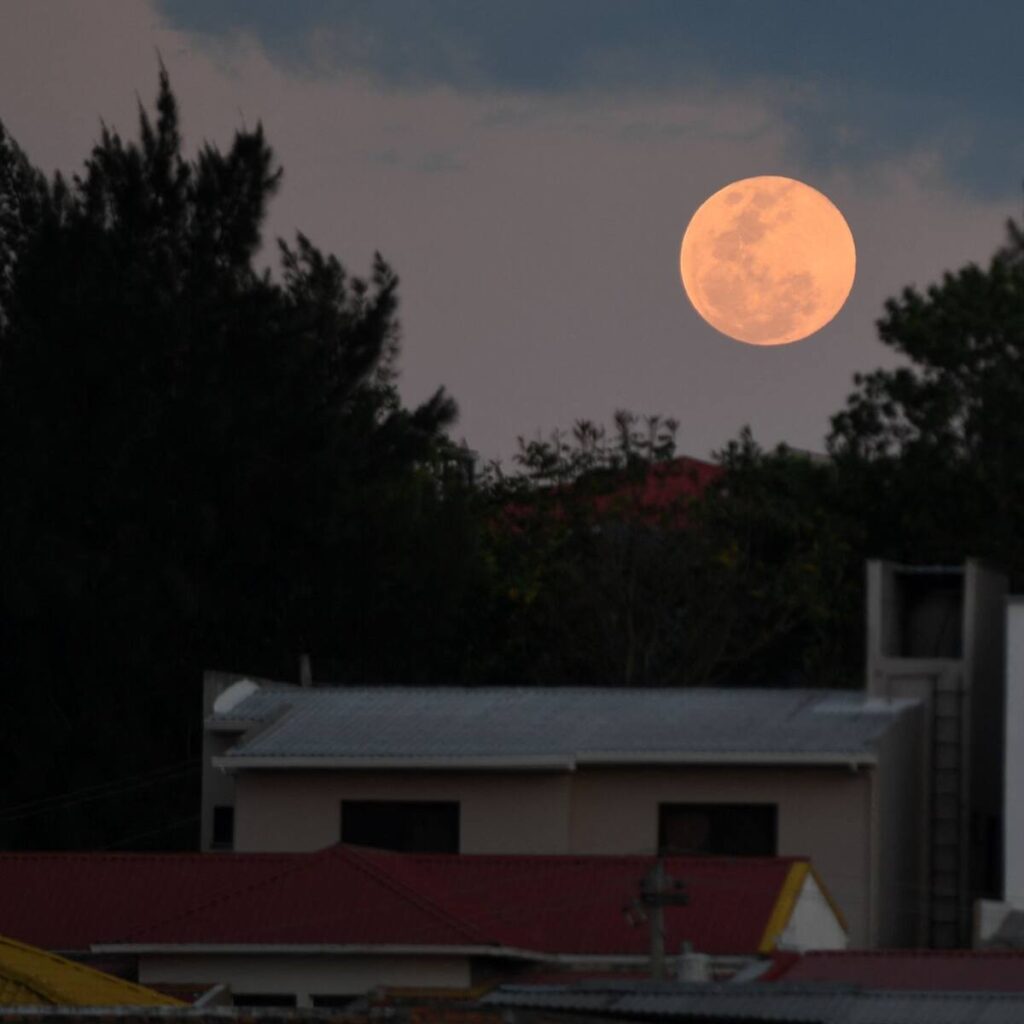 image luna roja luna de sangre blood moon eclipse lunar EFJ5AWKJZJF65B3RY4BIOKERNE