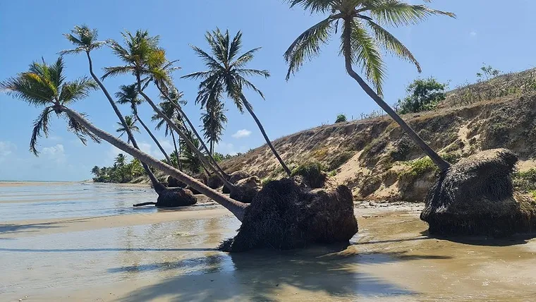 El pueblo de Brasil con calles de arena donde el invierno parece verano image trip advisorv1