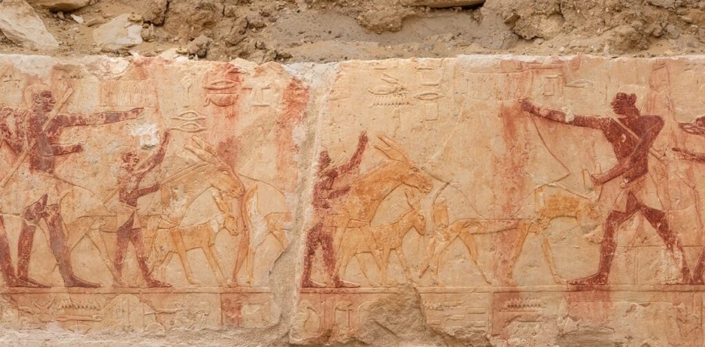 Descubren una tumba de 4.500 años con colores intactos y una historia familiar en Egipto image 1FrYFDfo 1256x620 1