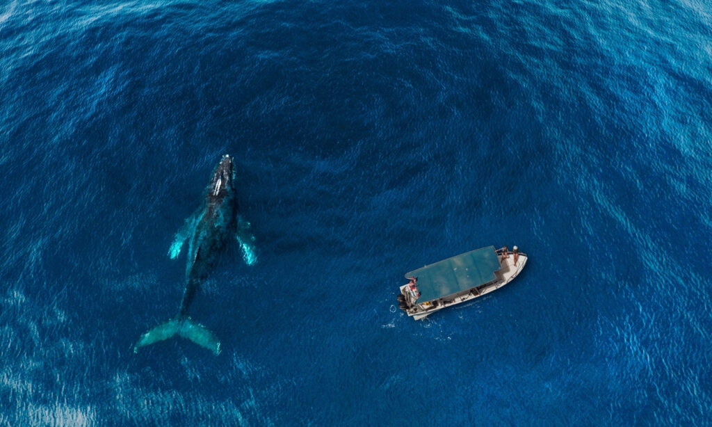 image Los Cabos 5